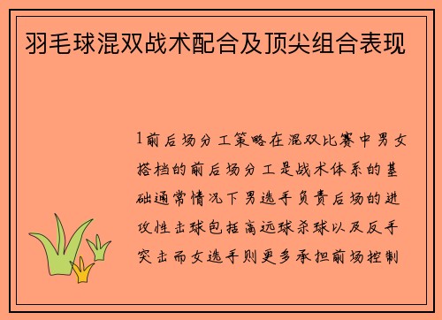 羽毛球混双战术配合及顶尖组合表现